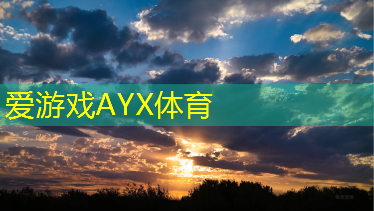 网球网球的握拍方式