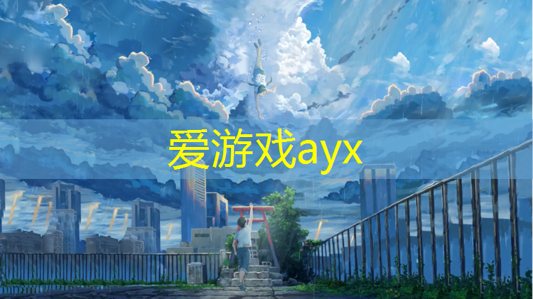 新网球网子在线